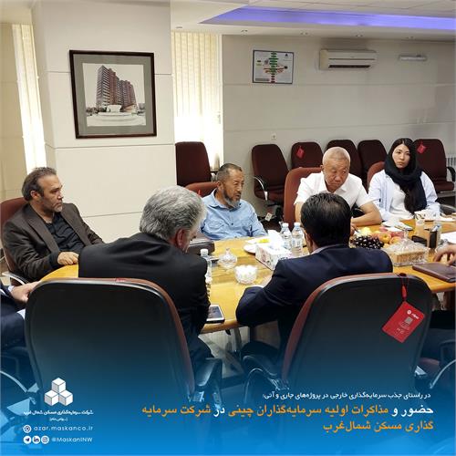 سرمایه گذار چینی