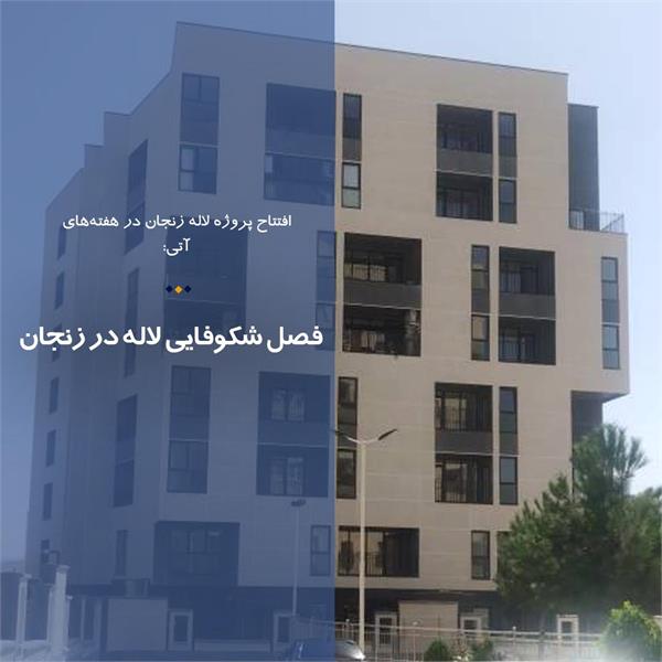 فصل شکوفایی لاله در زنجان
