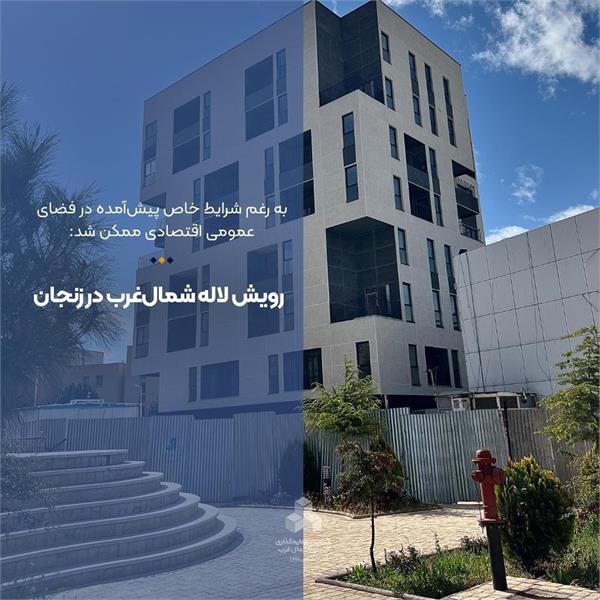رویش لاله شمال‌غرب در زنجان