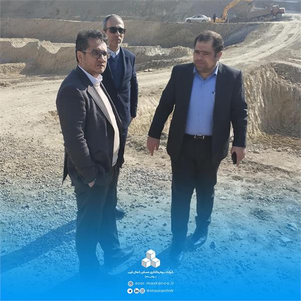 ناویا